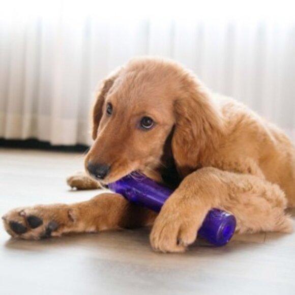 Bundle 2 Dog Squeaky Toys Kong Squeezz Stick + MultiPet Loofa Birthday Dog NWT - Picture 8 of 11